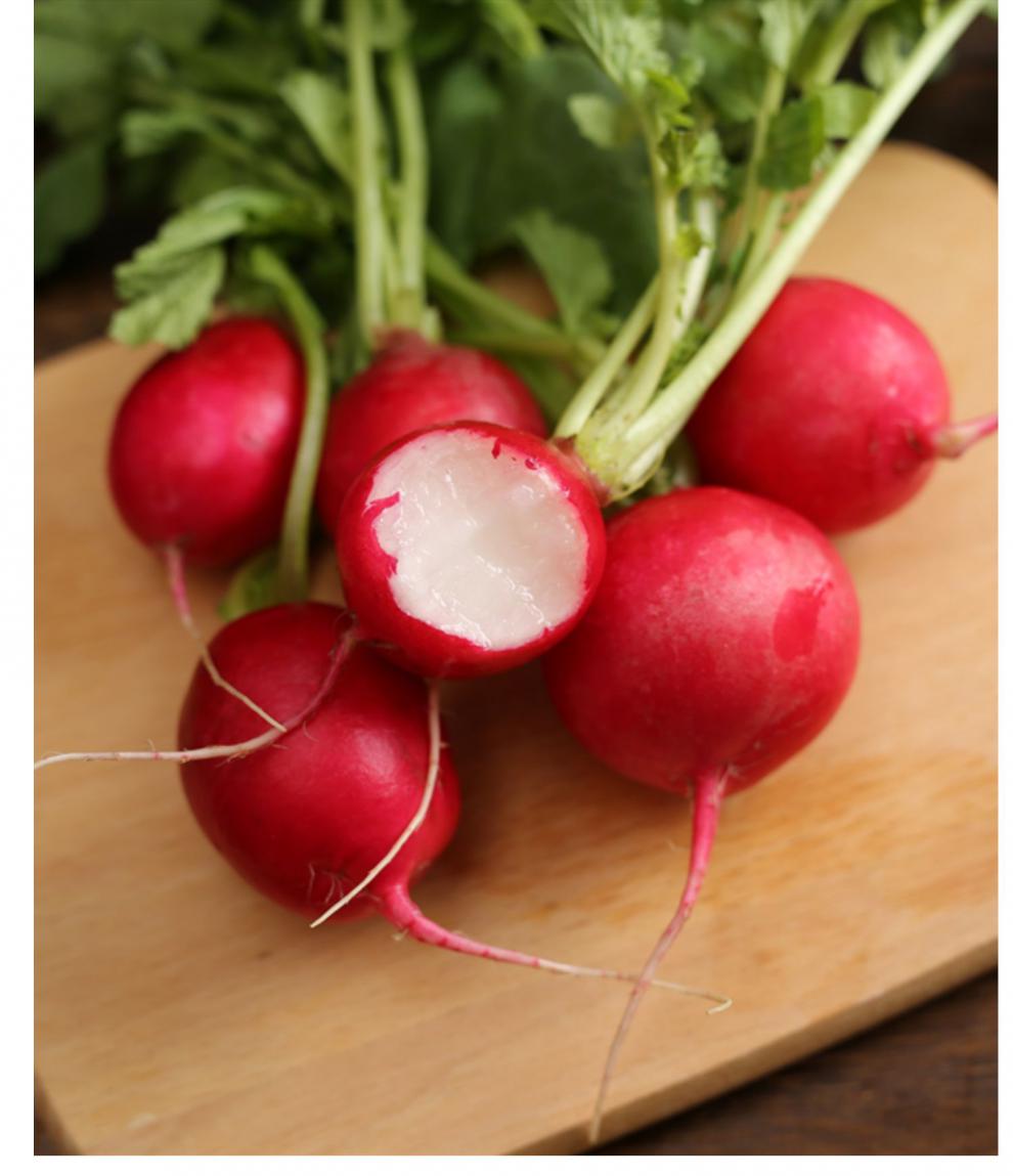 东北红皮新鲜樱桃萝卜生吃迷你小水萝卜红圆萝卜脆甜蘸酱菜 2500g