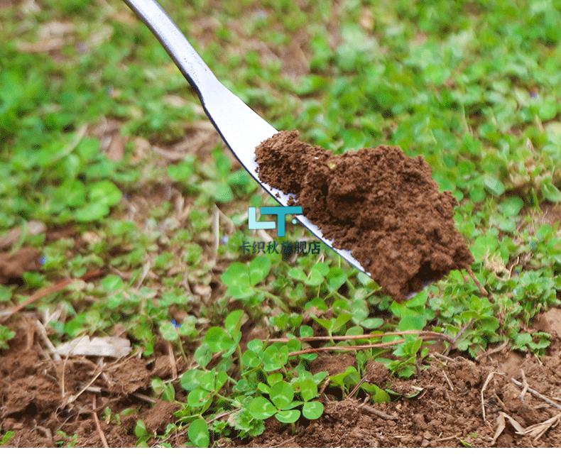 種菜神器工具挖野菜的小鏟子神器挖蒜鏟子挖土園藝種菜除草工具挖菜鏟