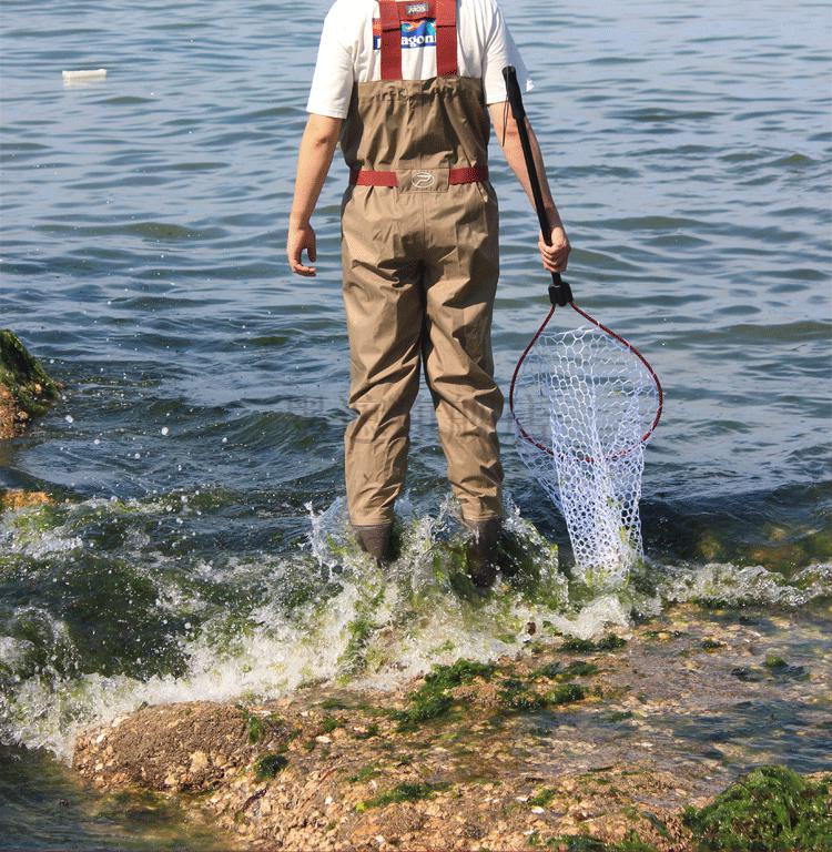 涉水裤路亚prox 日本进口prox普罗克斯涉水裤路亚下水裤防水钓鱼透气