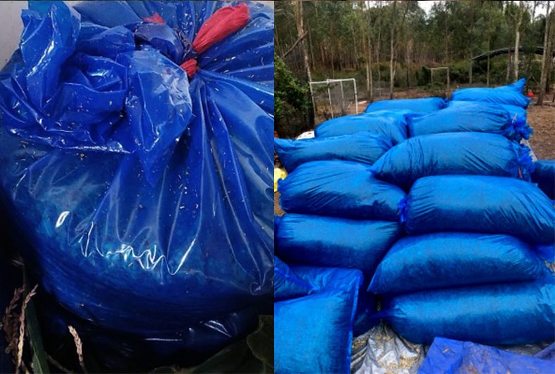 青贮发酵袋饲料特大收纳青储玉米专用青贮保鲜袋青贮加厚加大袋子 70*