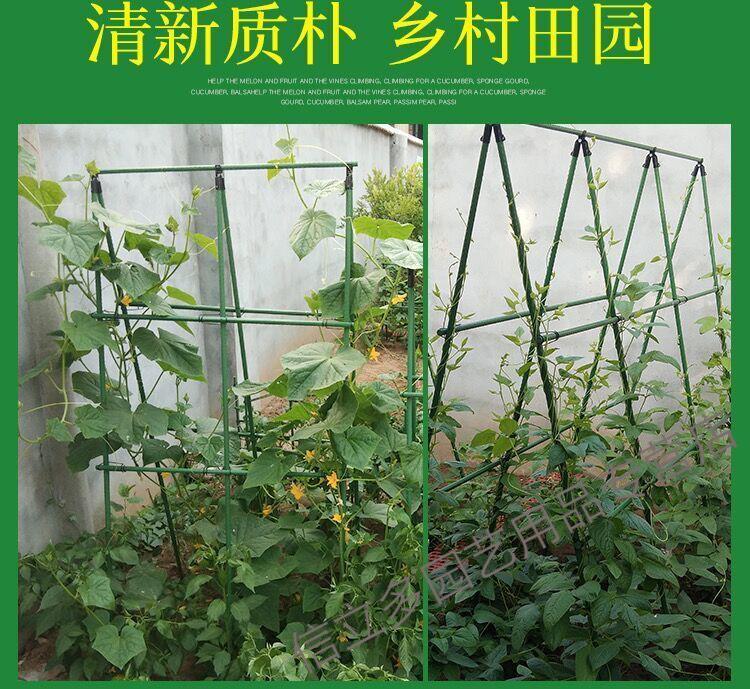 種菜架子豆角黃瓜葡萄月季爬藤庭院鋼管包塑花卉植物支架戶外攀爬16mm