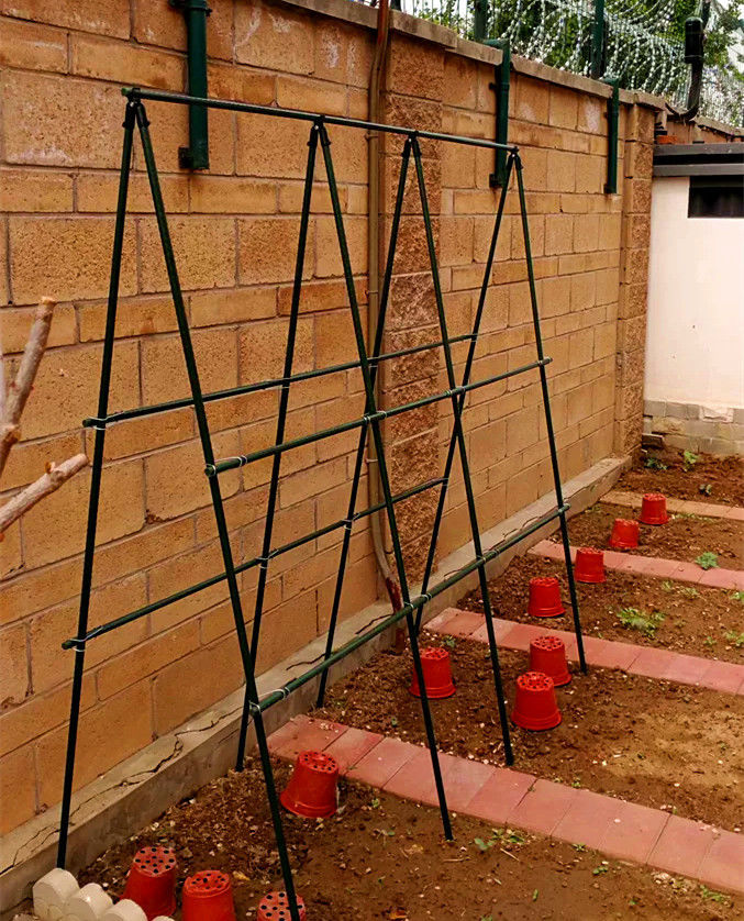 丝瓜棚架子葡萄架黄瓜丝瓜豆角西红柿百香果猕猴桃苦瓜