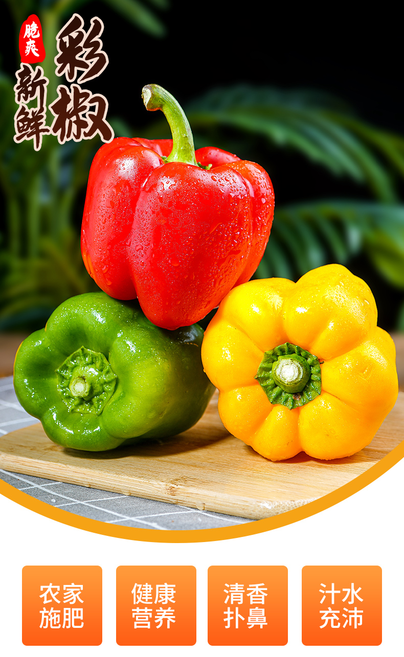 山东寿光新鲜灯笼彩椒9斤圆辣椒五彩红黄水果甜椒太空椒即食 5斤