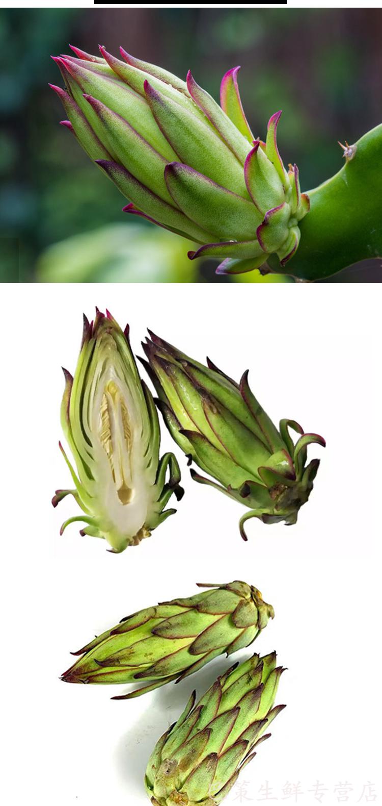 仓梵(顺丰速运)新鲜霸王花正宗剑花煲汤食材靓花特色蔬菜花苞火龙果花
