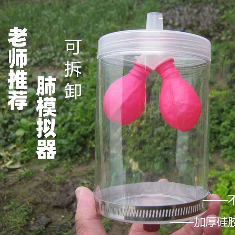fgacct 膈肌运动模拟器 手动式 教学 生物仪器 膈肌 肺呼吸模型 塑料