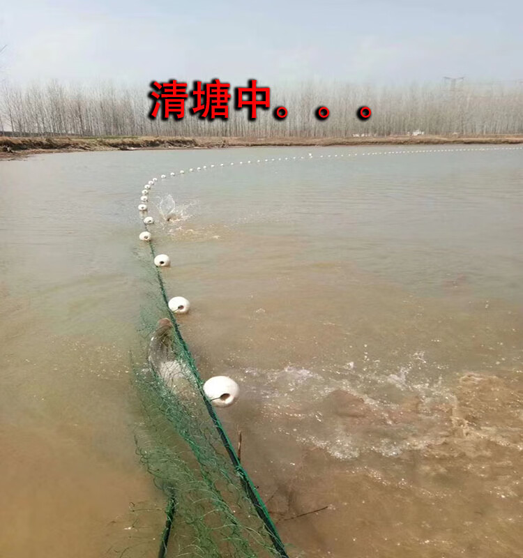 拉网渔网拉鱼网鱼塘家用刮网网箱抬网尼龙鱼苗网定制30米宽5米高12股2