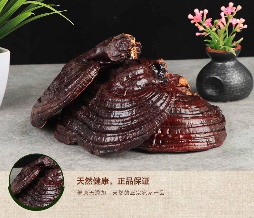 花老板灵芝 长白山灵芝赤灵芝灵芝 灵芝500g【图片 价格 品牌 报价】