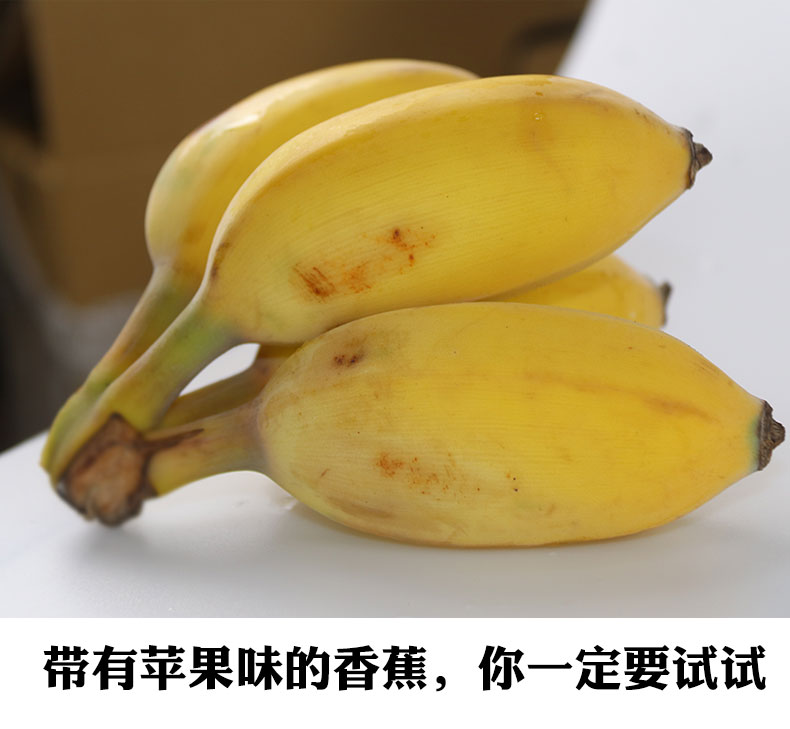 顺丰正宗苹果蕉当季新鲜水果香蕉小米蕉芭蕉5斤2500g