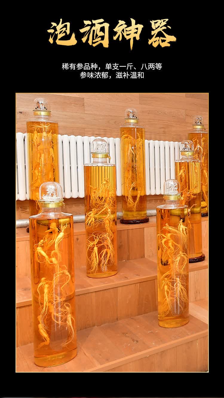 亏本卖3天人参巨无霸新鲜人参长白山特大人参泡酒送礼九九和仁单支350