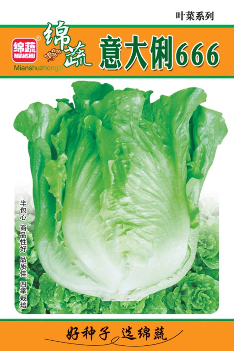 生菜種子意大利耐抽苔生菜種籽玻璃生菜小青菜夏秋四季田園蔬菜孑大禹