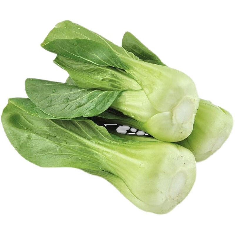 上海青新鲜现发当季蔬菜上海青小油菜 太湖菜矮脚菜 团建生鲜 2000g