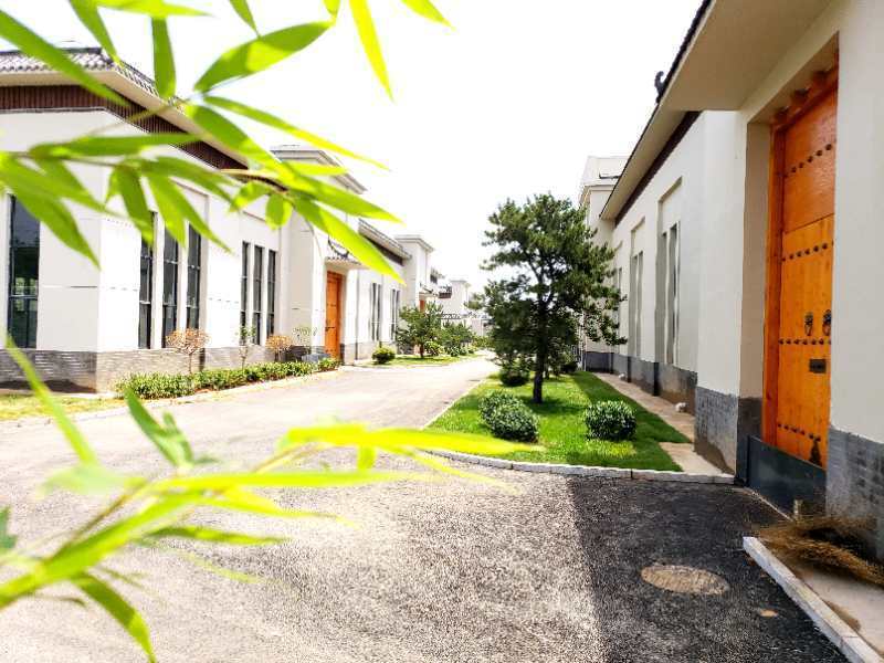 黎侯宴白酒 1000mlx42度 山西长治黎城山西地方酒瓶装 清香型2瓶