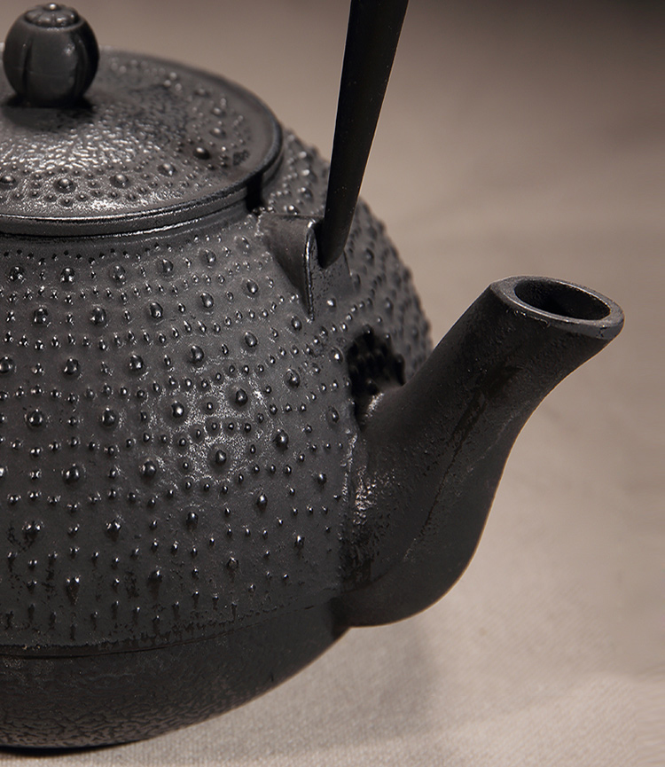 容山堂苏韵日本无涂层生铁壶铸铁茶壶大容量大号砂铁树藤扇形龟甲纹1