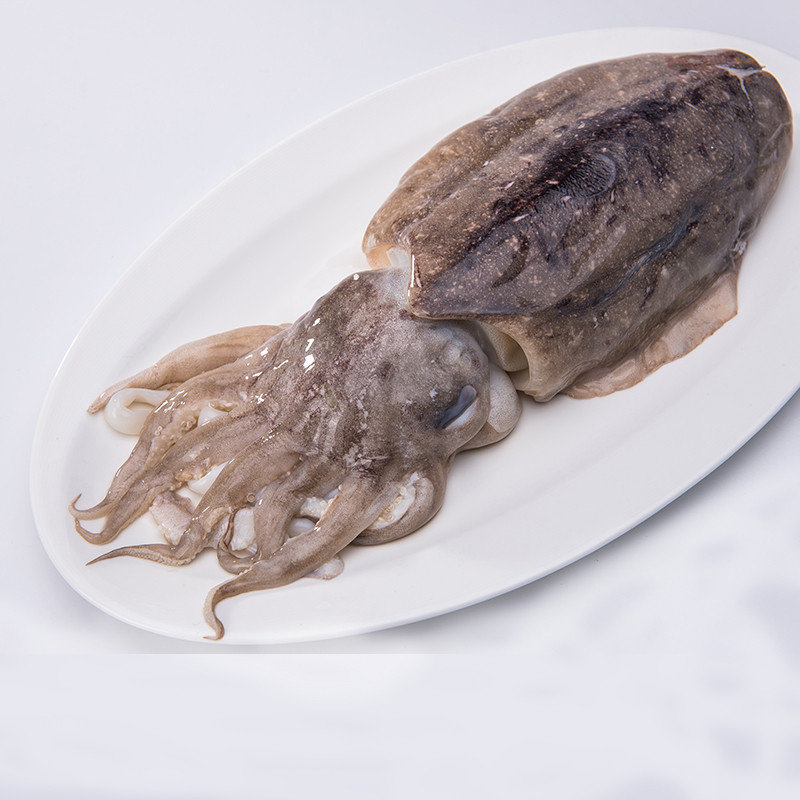 【顺丰现货】大墨鱼 新鲜墨斗鱼 深海乌贼 大乌贼鱼