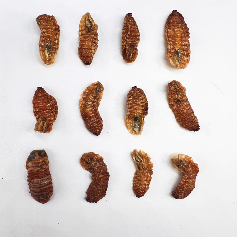 蛴螬250克蛴螬干土蚕老母虫核桃虫粪虫无硫干货中药材250g