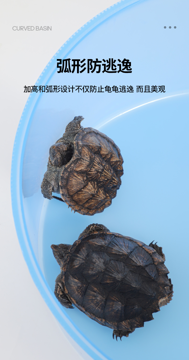 鳄龟专用生态缸龟缸带晒台乌龟别墅饲养箱家用巴西龟养小龟龟箱屋弧形