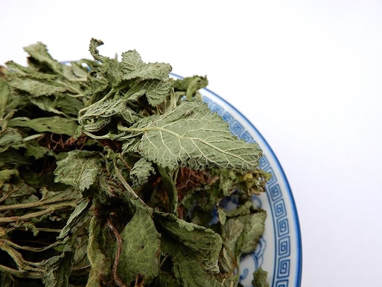 亏本卖2020年新货晒干蛤蟆草菜荔枝草蛤蟆皮草整棵带根癞蛤蟆草蟾蜍草