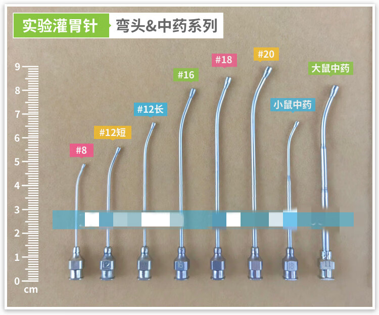 vieruodis 灌胃针 小鼠灌胃针 大鼠灌胃针 灌胃器 不锈钢针头 喂药