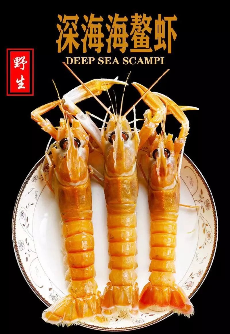 超大海鳌虾海龙虾深海鳌虾刺身甜虾日料食材拼盘 二斤 每斤25只左右