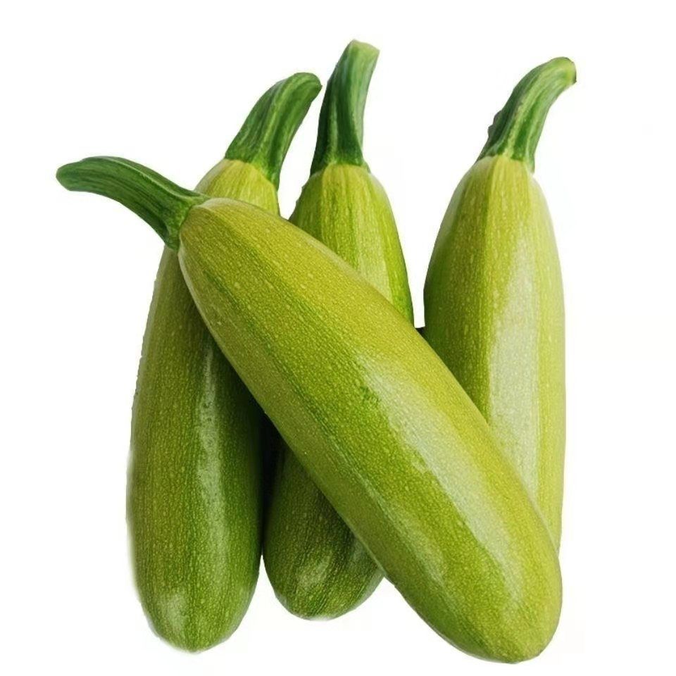 新鲜蔬菜西葫芦角瓜做包子饺子馅当季绿色蔬菜农家自种菜瓜价西葫芦5