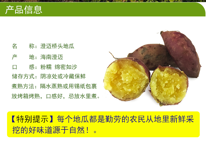 海南澄迈桥头富硒地瓜新鲜沙地红薯现挖番薯带箱10斤5斤中果