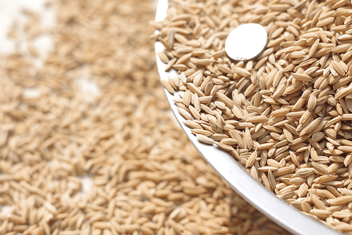 农家鸡鸭食稻谷喂鸡谷子带壳水稻鸟食鸽饲料鸡稻子粮食仓鼠粮大粒谷3