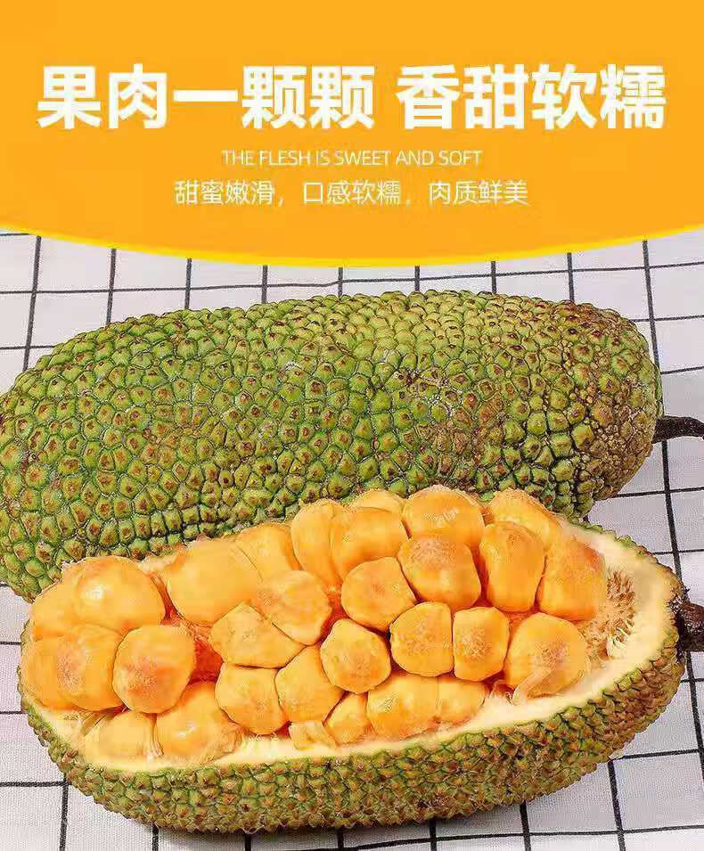 海南榴莲蜜顺丰速运水果新鲜尖蜜拉香甜巴掌榴莲菠萝蜜带壳10斤礼盒35
