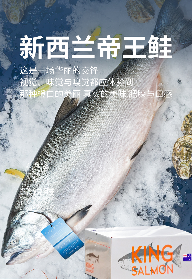 現貨即發鮭魚69斤冰鮮三文魚一整條新鮮即食刺身89斤整條不切