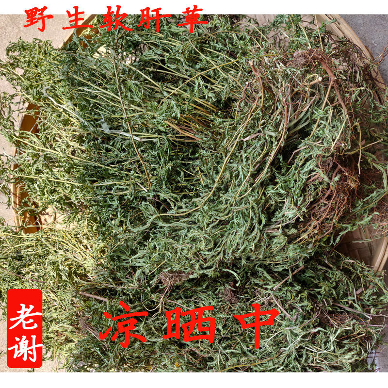 广西野生软肝草铁甲草细密疏山扁豆正宗野生家种软肝草250克