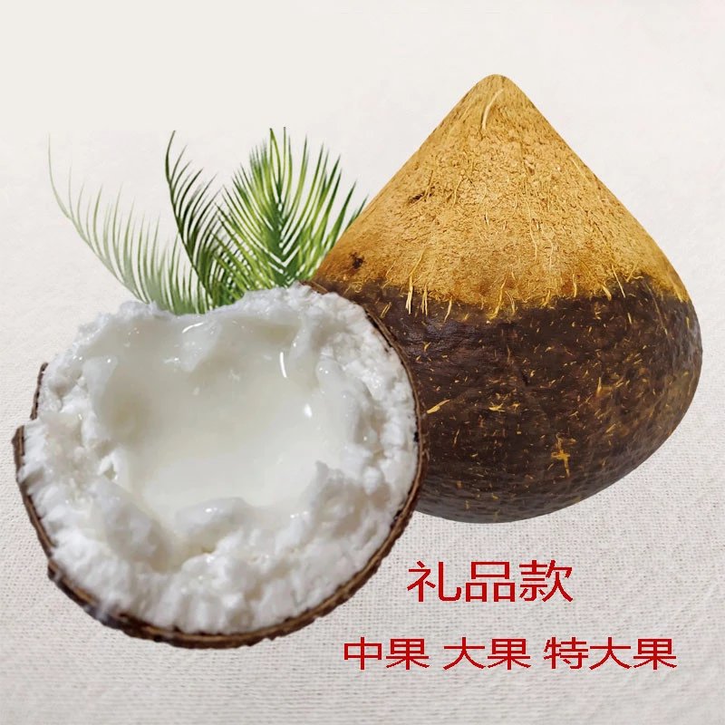 五折5折 糯米椰子 泰国糯米椰子 椰汁粘稠拉丝-中果1个装(腰围39-42