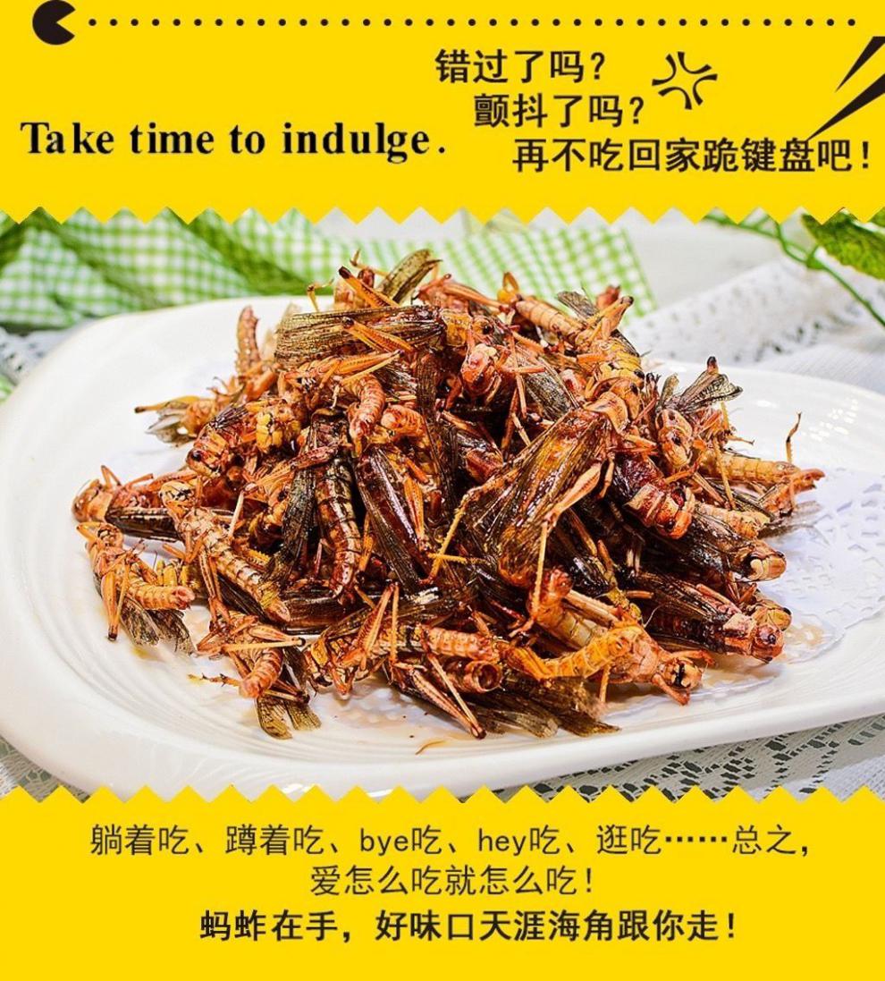 蚂蚱香辣蝗虫油炸蚂蚱新鲜即食虫子昆虫活体蚱蜢虫子美食零食小吃