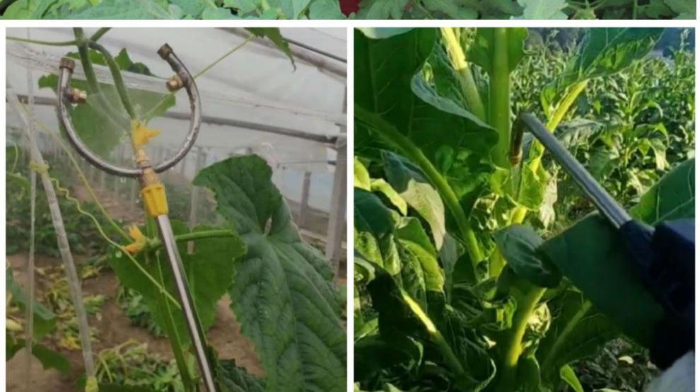 黄瓜电动喷花授粉器 番茄西红柿电动喷花器智能点花器黄瓜沾花器大棚