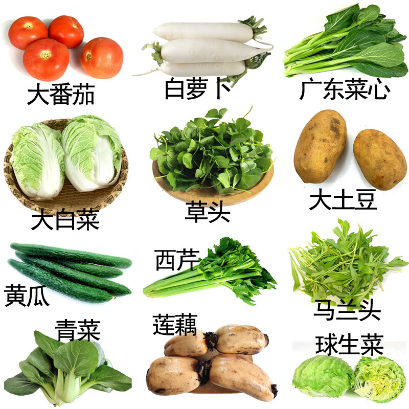 新鲜农家蔬菜组合套餐混当季时令蔬菜送礼生鲜可备注5kg随机种类不