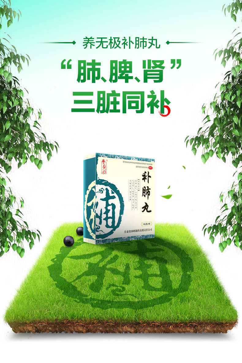 养无极 补肺丸9g*10丸*4板中药 补肺益气 哮喘 平喘化痰咳声低弱咽干