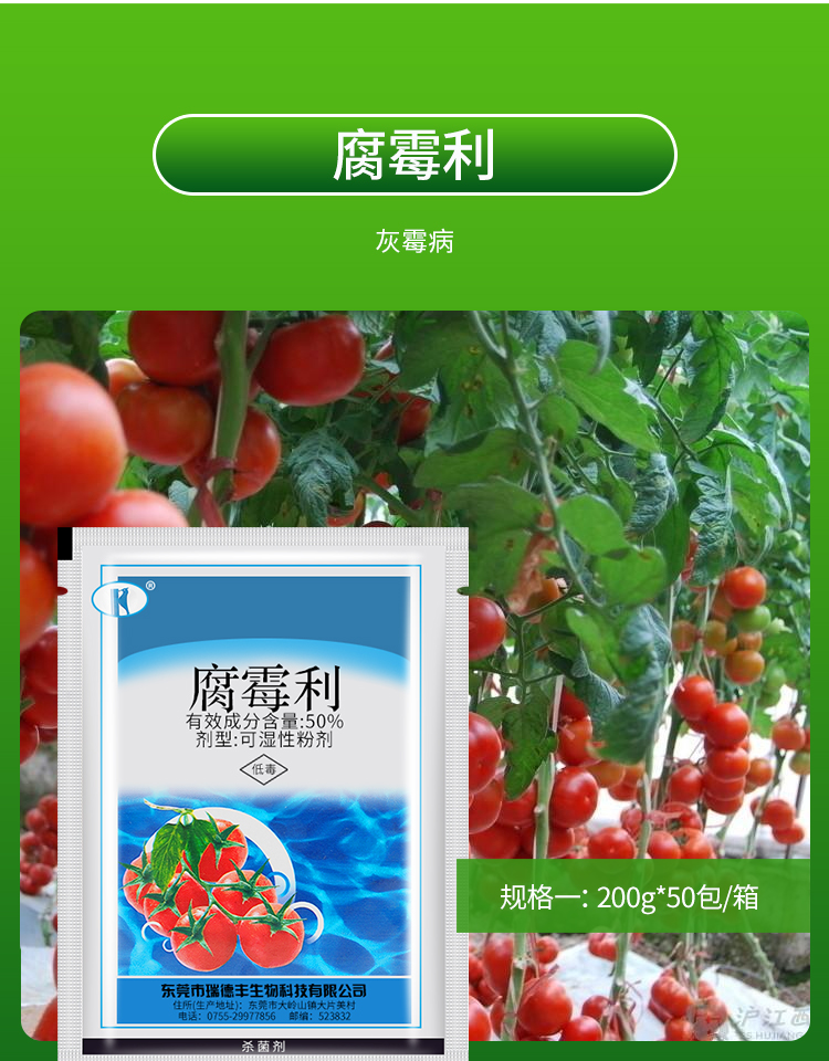瑞德丰50腐霉利草莓葡萄番茄灰霉病菌核病真菌农药剂200g200g