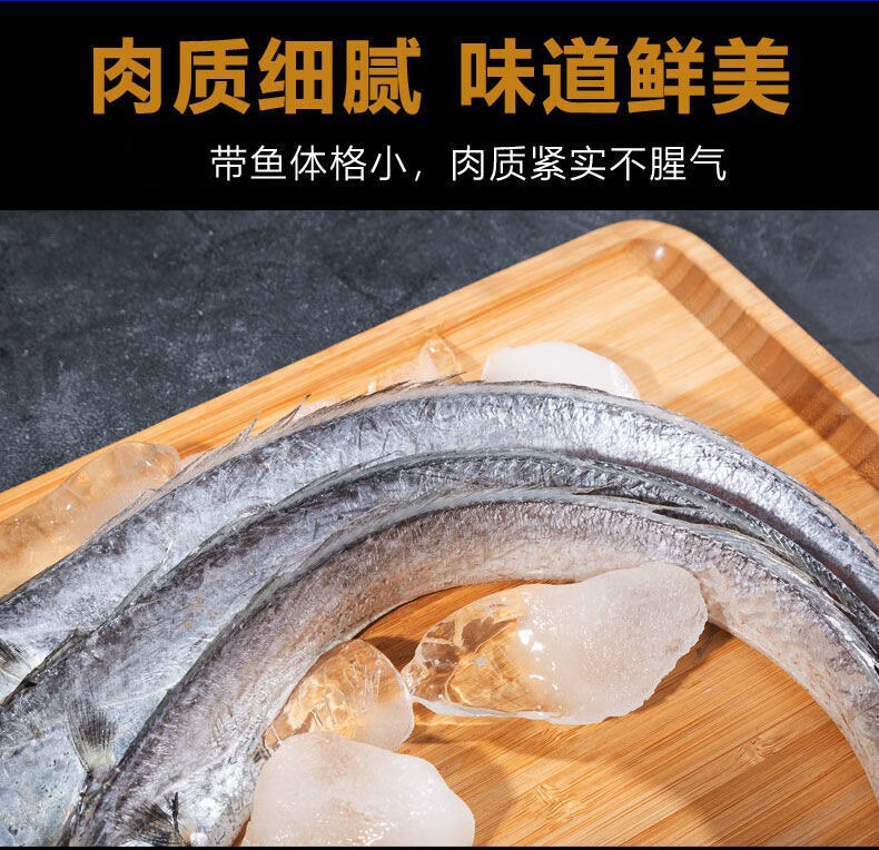 黄海小眼带鱼新鲜整条无冰带鱼批发青岛本地特大带鱼净重新鲜 丽鲜玫