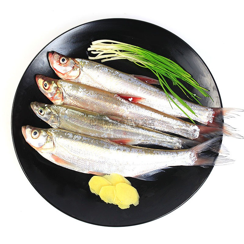 5kg【3斤一条】【图片 价格 品牌 报价】-京东