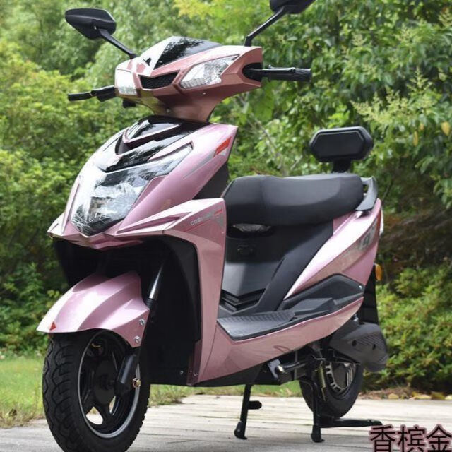 金箭战神尚领迅鹰电动车外壳配件雅迪爱玛小刀\台铃新日 平叉