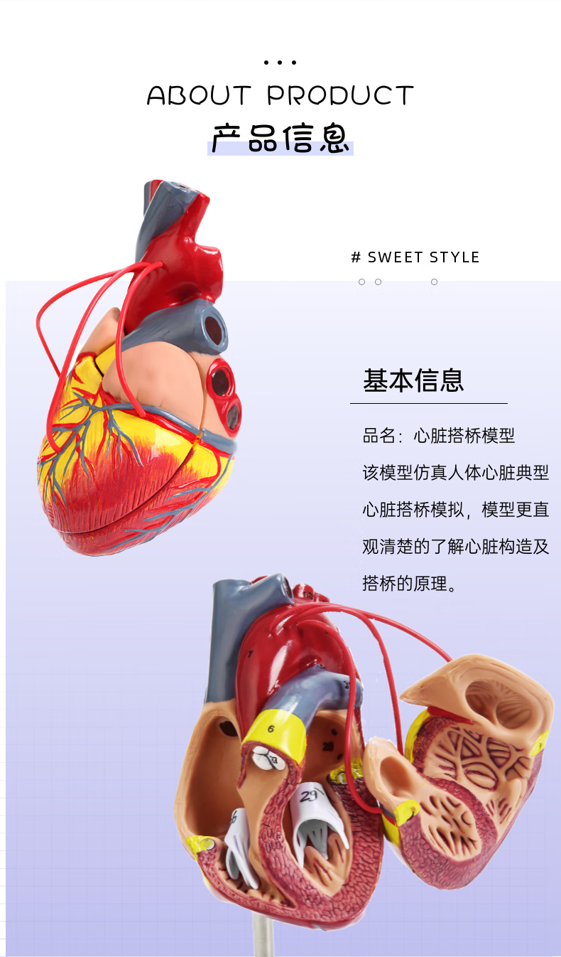 人体心脏模型 心脏搭桥模型心内科 心脏解剖教学模型自然大心脏 1