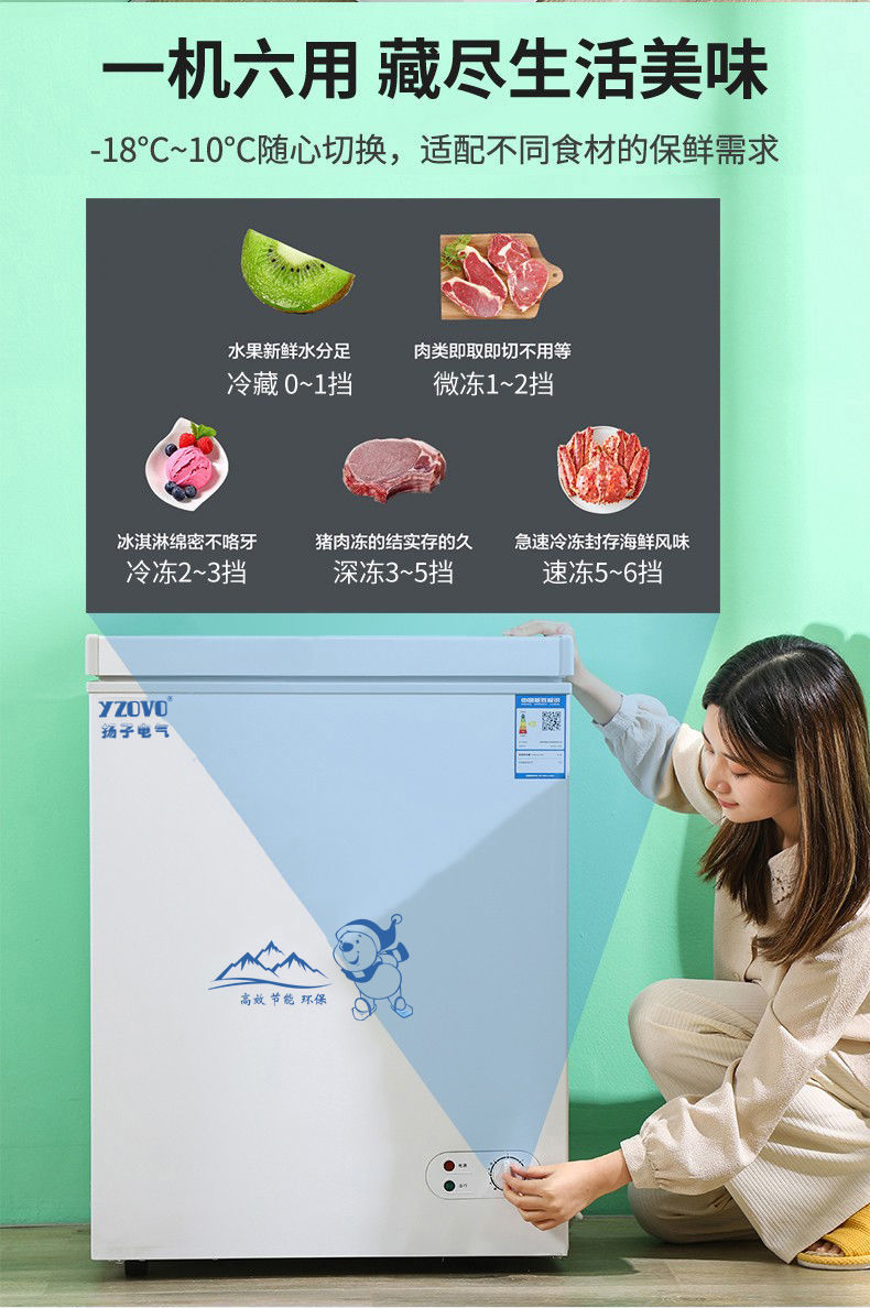 扬子冰柜家用扬子118l小冰柜家用小型冷柜保鲜冷冻两用双温大容量二级