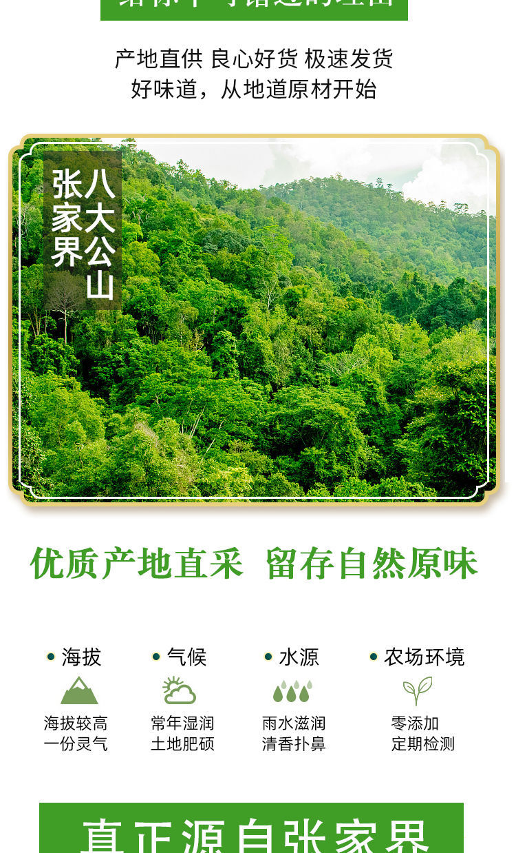 cb8eceac47992fe3.jpg