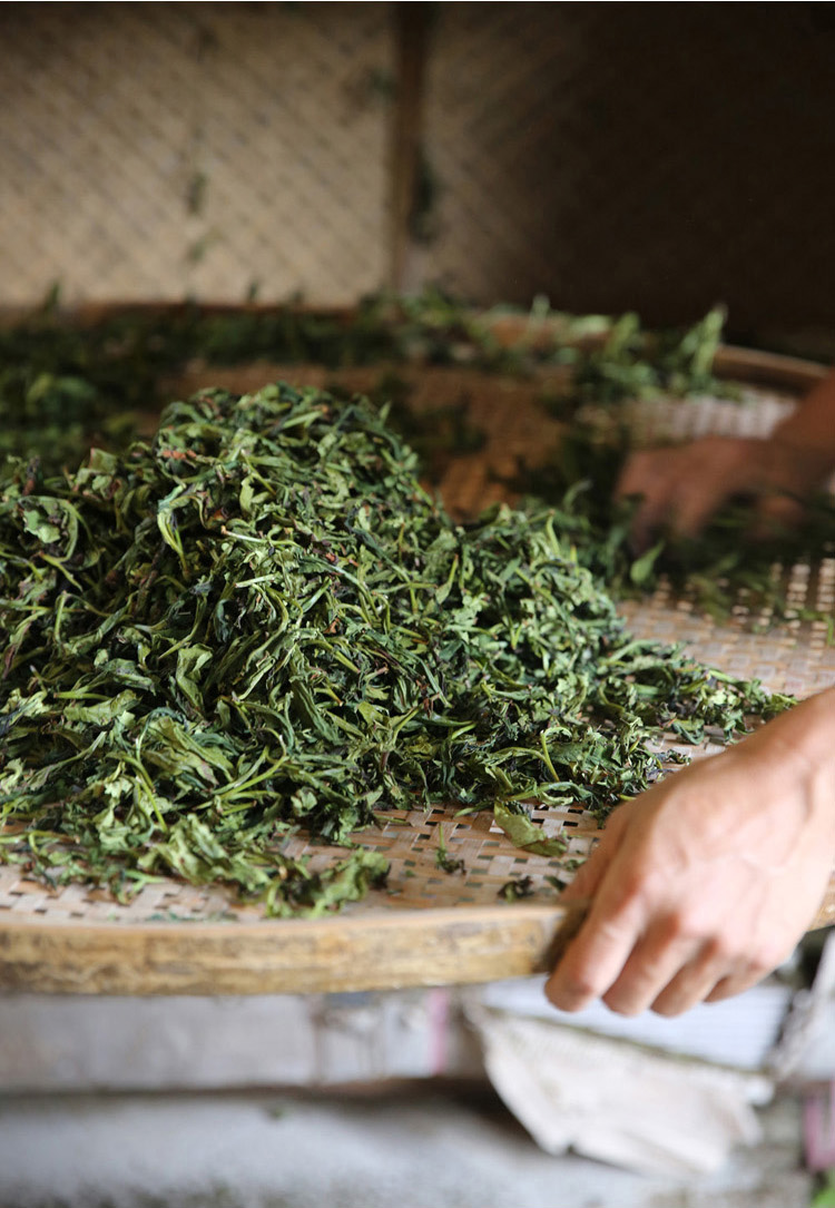 漳平特产水仙茶2021秋茶福建闽南乌龙茶高山茶兰花香清香型【图片