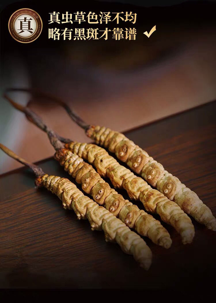 冬虫夏草礼盒装正宗四川虫草干货娇蔲康精选10根