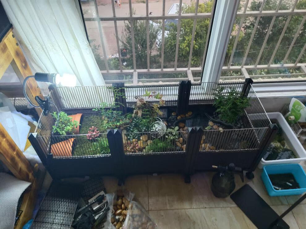 黄缘草龟专用生态箱造景植物环境箱家用公园养殖乌龟专用箱现货-岚黛