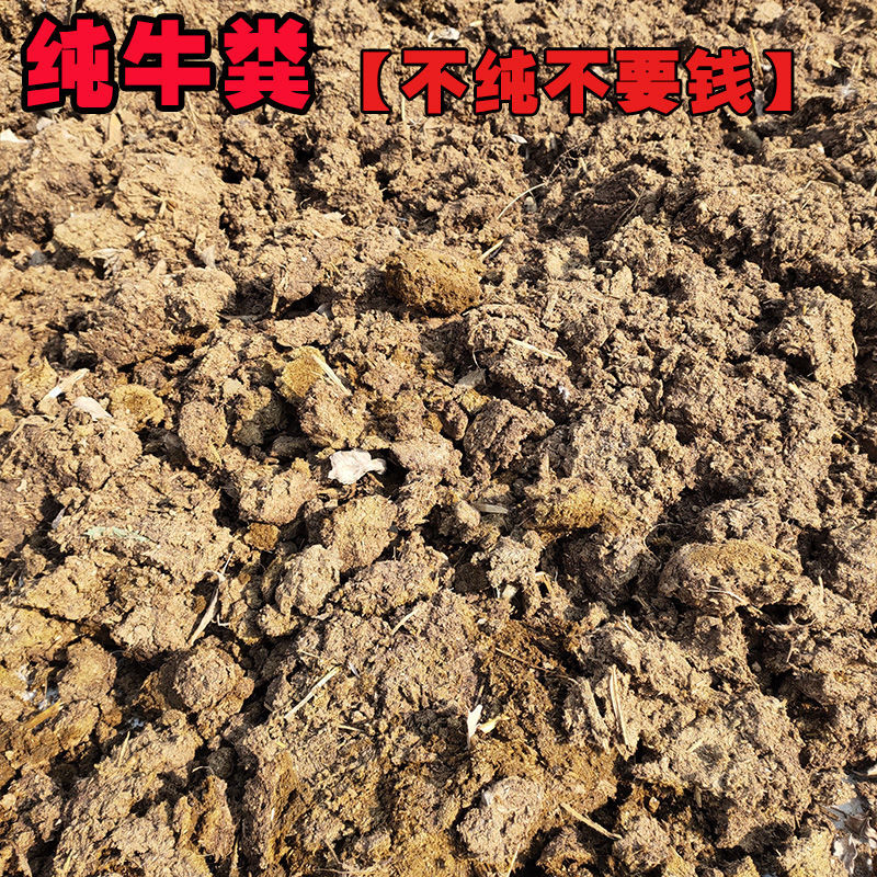 牛粪发酵有机肥料牛粪 纯牛粪肥果树蔬菜花卉用底肥有机肥 天然发酵