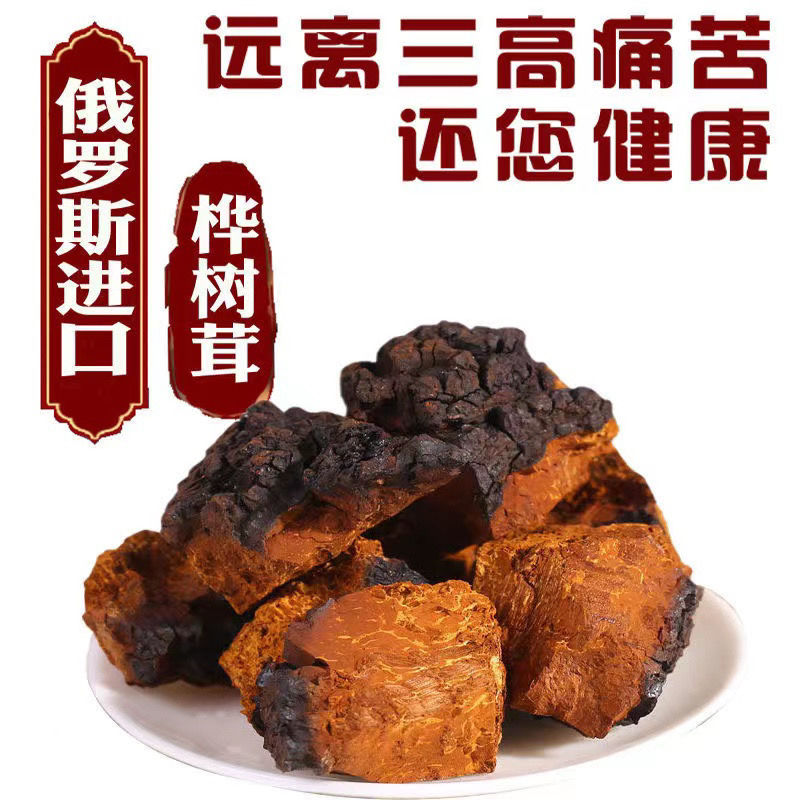 桦树茸野生俄罗斯白桦茸进口桦褐孔菌特级胰岛素黑金切块新鲜四十年