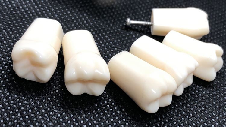 考试验练习开髓仿真牙散粒备牙模型开髓腔牙仿真牙散粒牙立牙体制备
