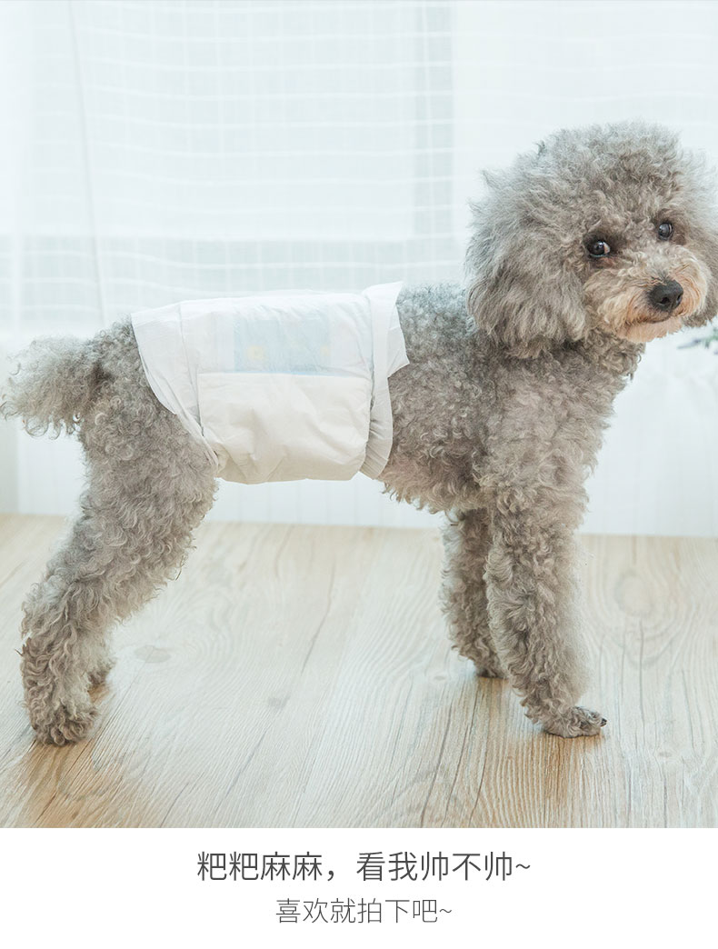 公狗专用纸尿裤狗狗尿不湿泰迪小型宠物卫生生理礼貌带防交配乱尿狗狗