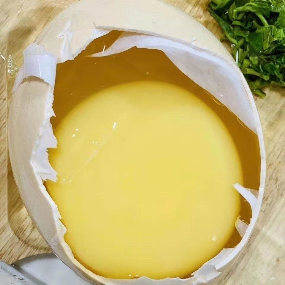 超大鸵鸟蛋新鲜营养蛋非洲鸵鸟食用蛋节日土豪送礼送底座开蛋器渝珍