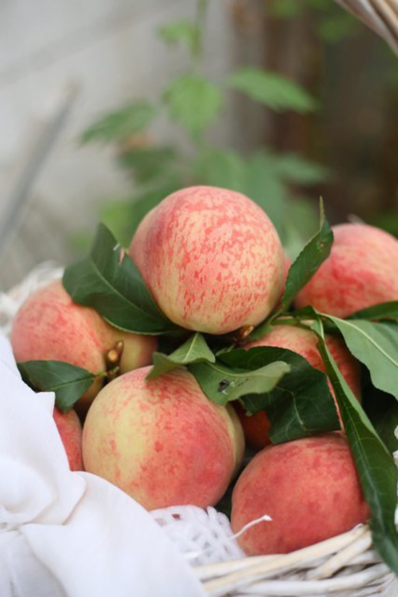 四川成都龙泉驿正宗白凤水蜜桃应季新鲜水果 3斤